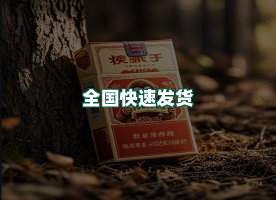 核心优势